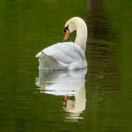 http://fotografie.erikpoelen.nl/wp-content/uploads/2018/02/cropped-2R0A5032.jpg